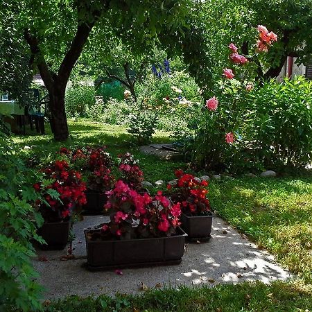 La Vecchia Casa Hotel Cetinje Exterior foto