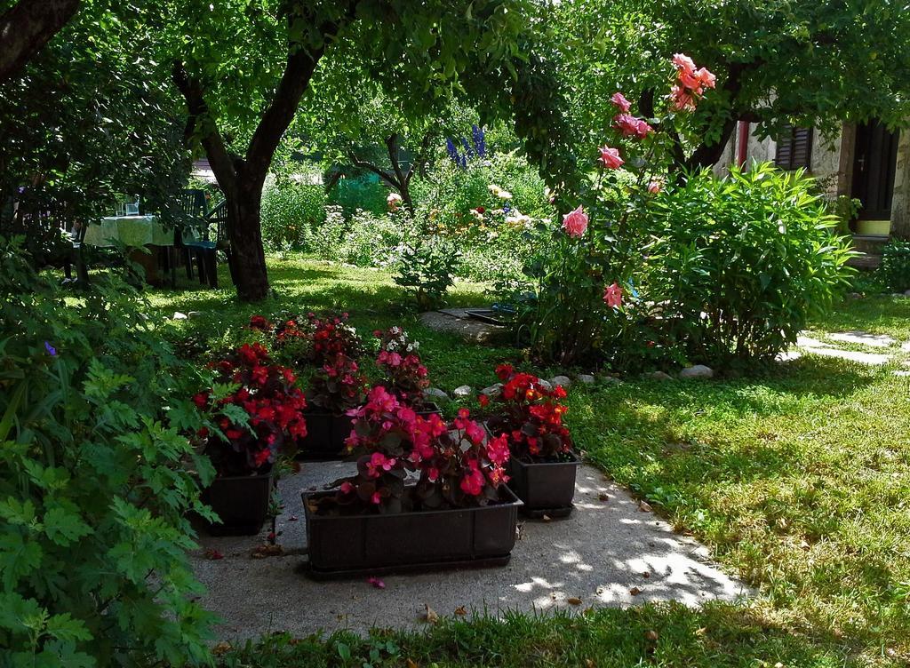 La Vecchia Casa Hotel Cetinje Exterior foto